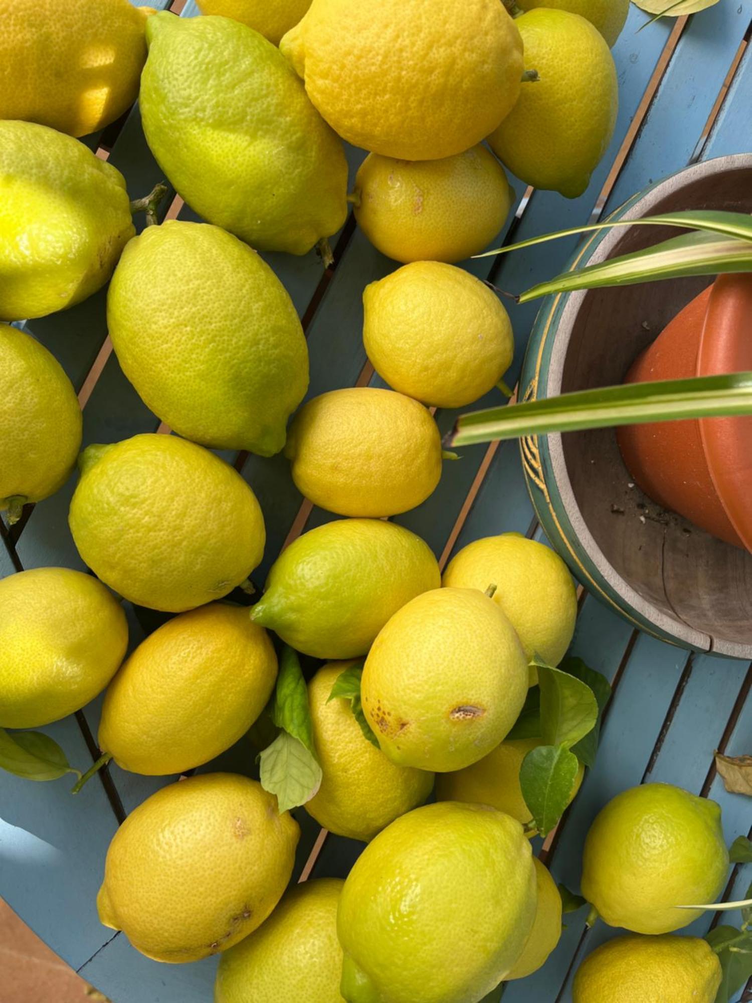 El Patio Del Limonero Villa Ecija Ngoại thất bức ảnh