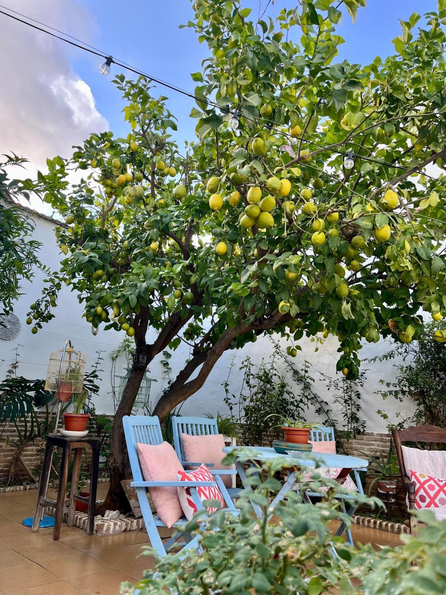 El Patio Del Limonero Villa Ecija Ngoại thất bức ảnh